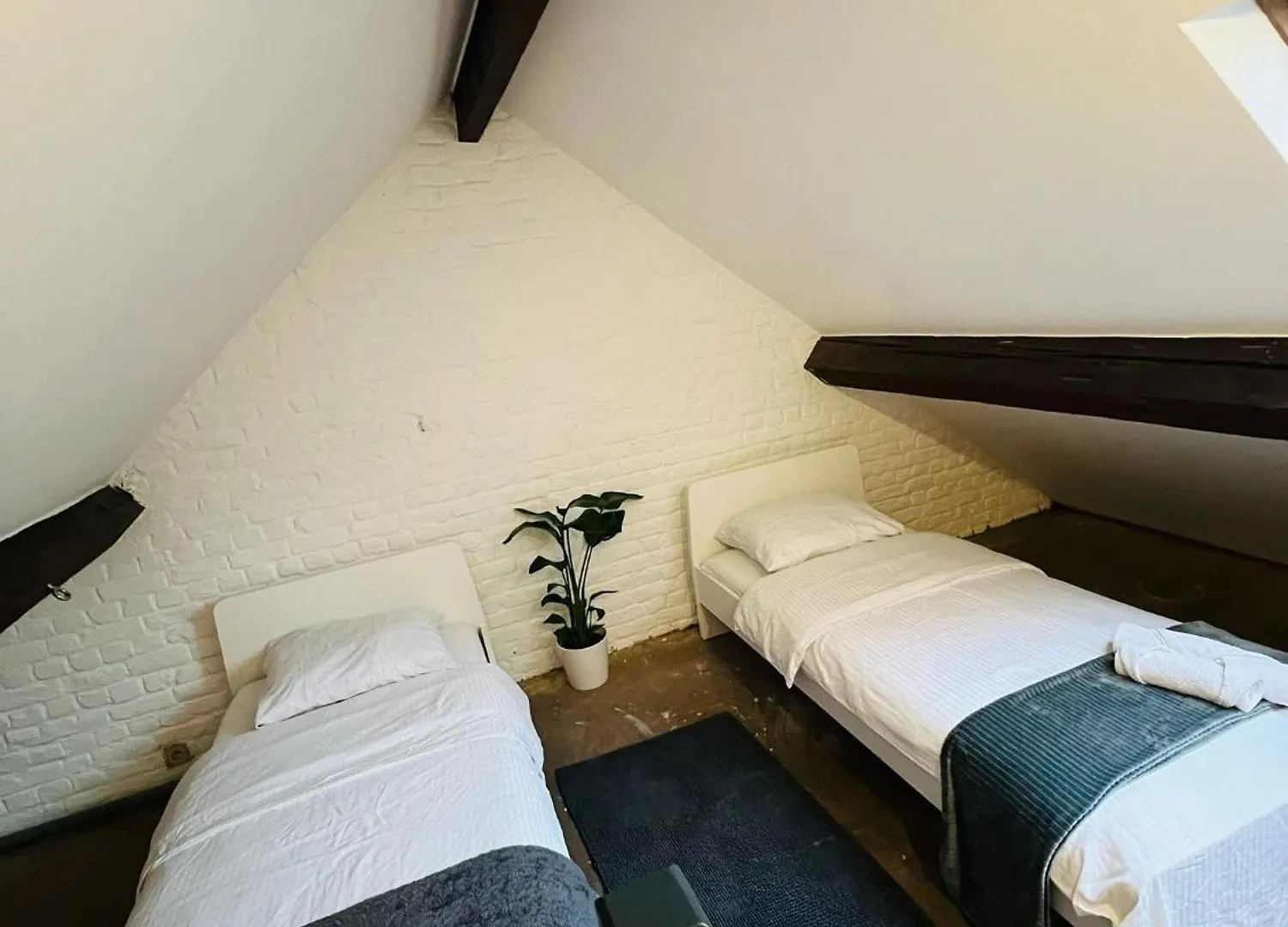 Albergue Bosquet Quarto 1 布鲁塞尔 0*,